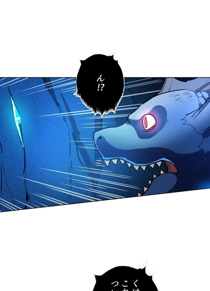 P58