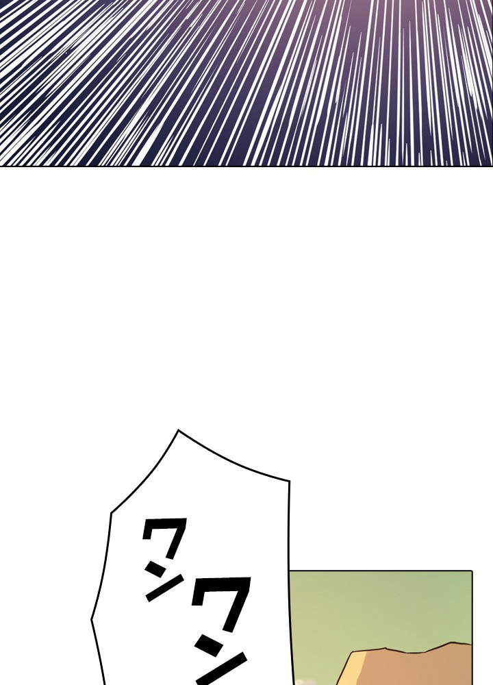 P53