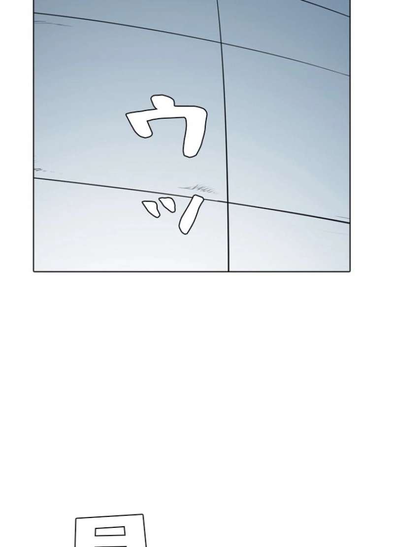 P46