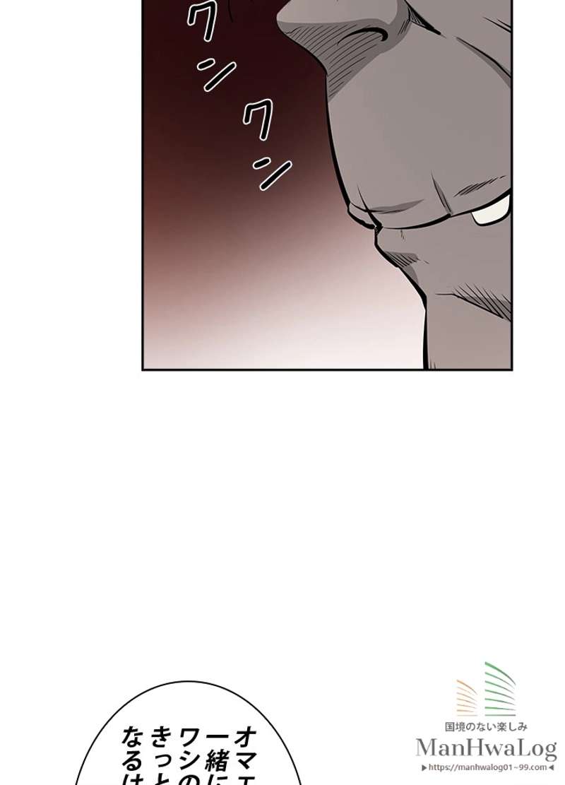 P63