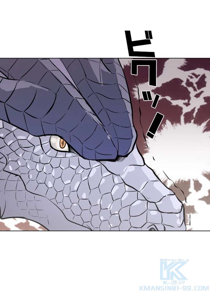 P44