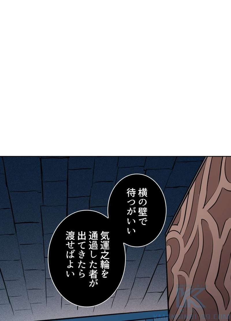 P53