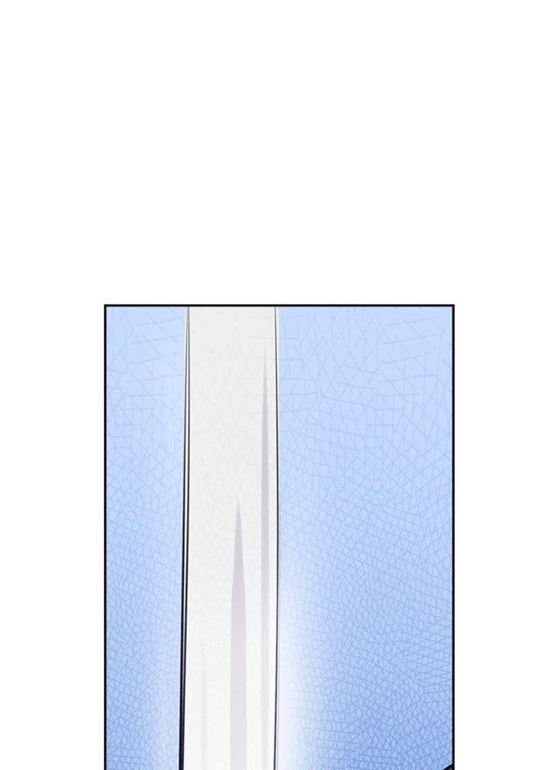 P66