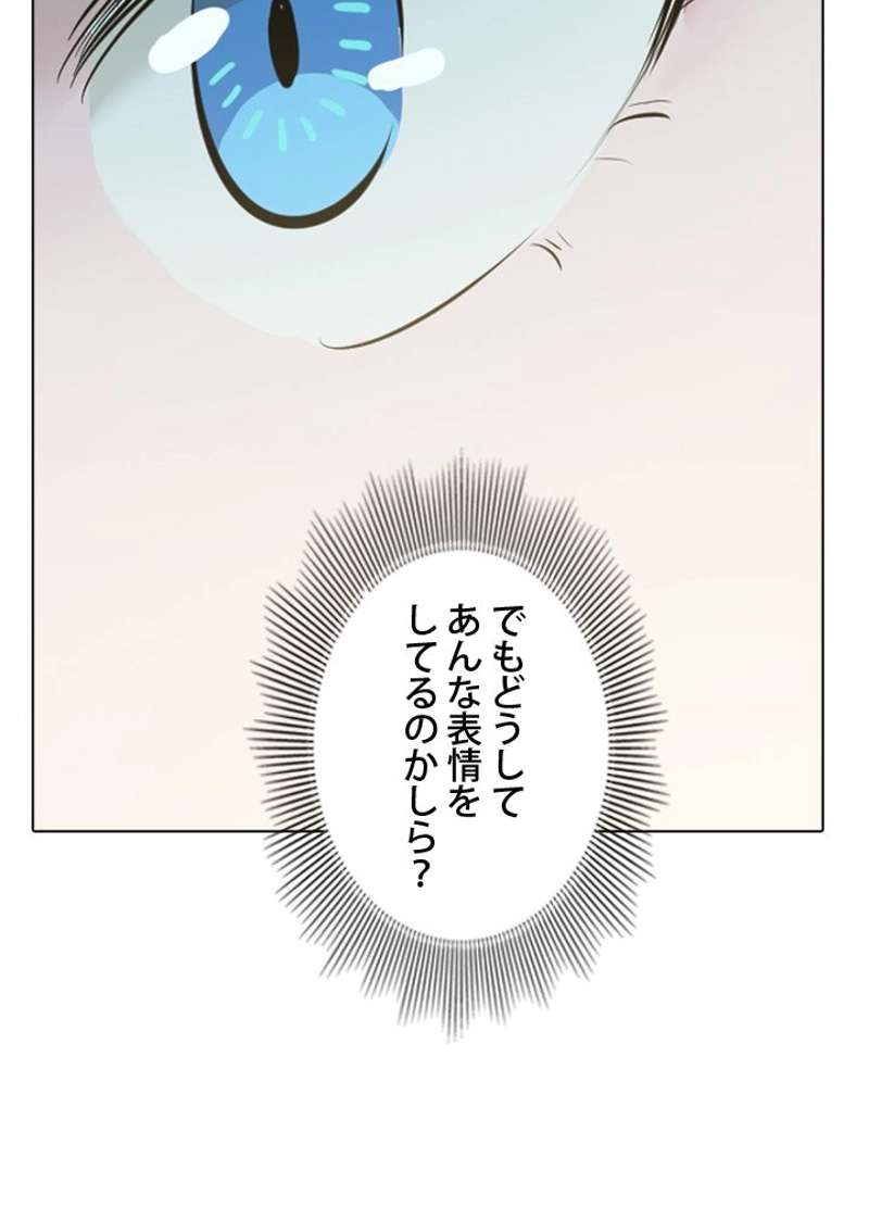 P66