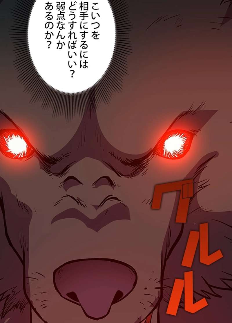 P63