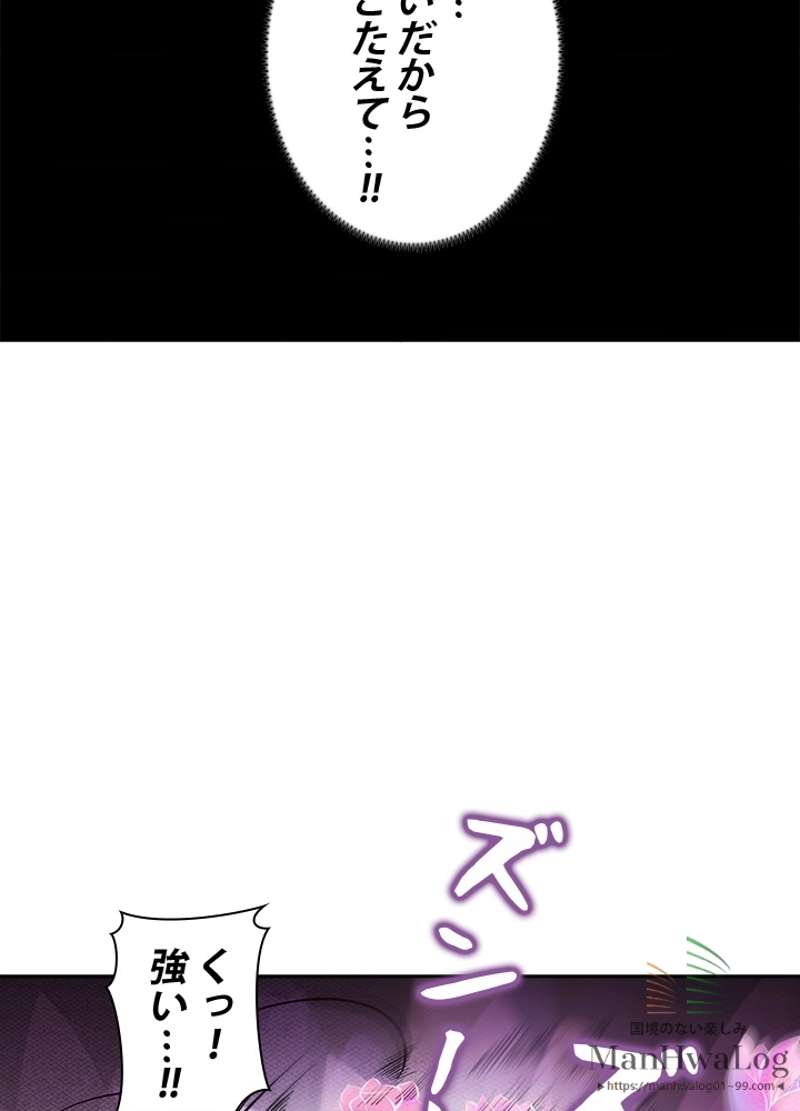 P58