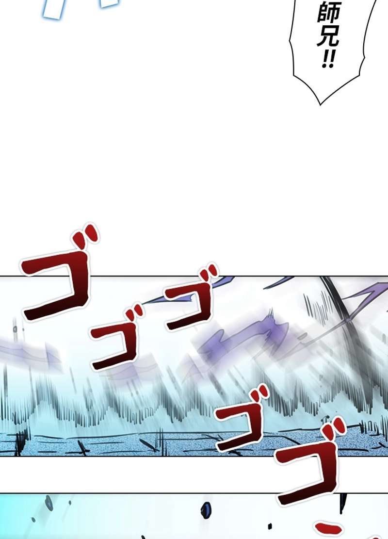 P66