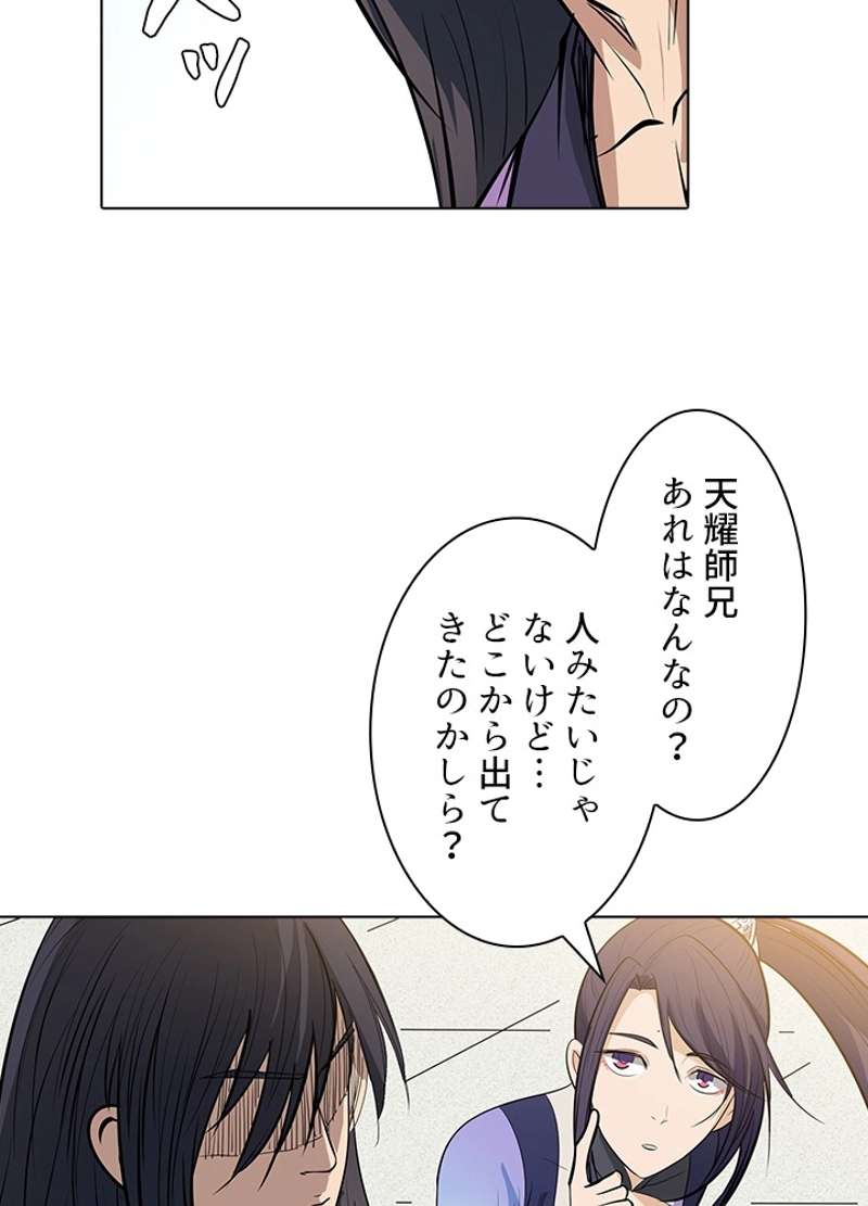 P66