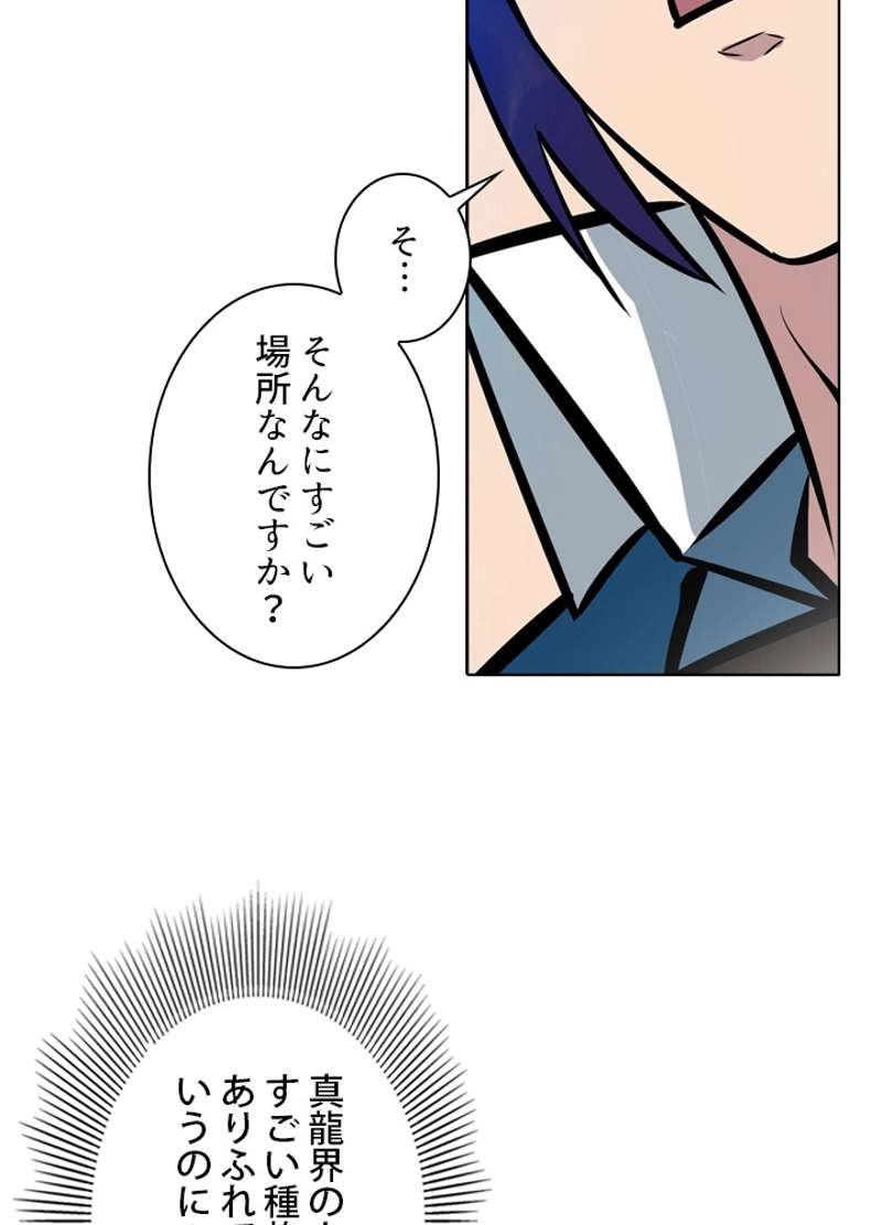 P66