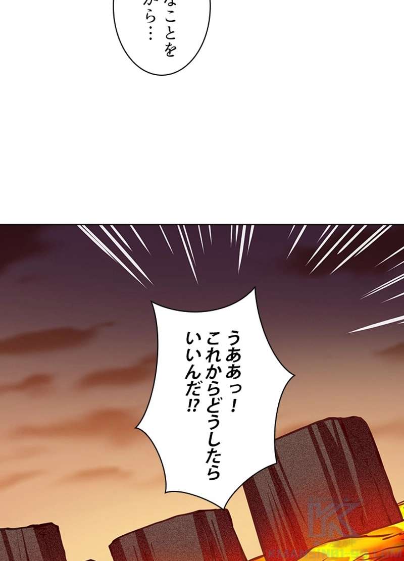 P41