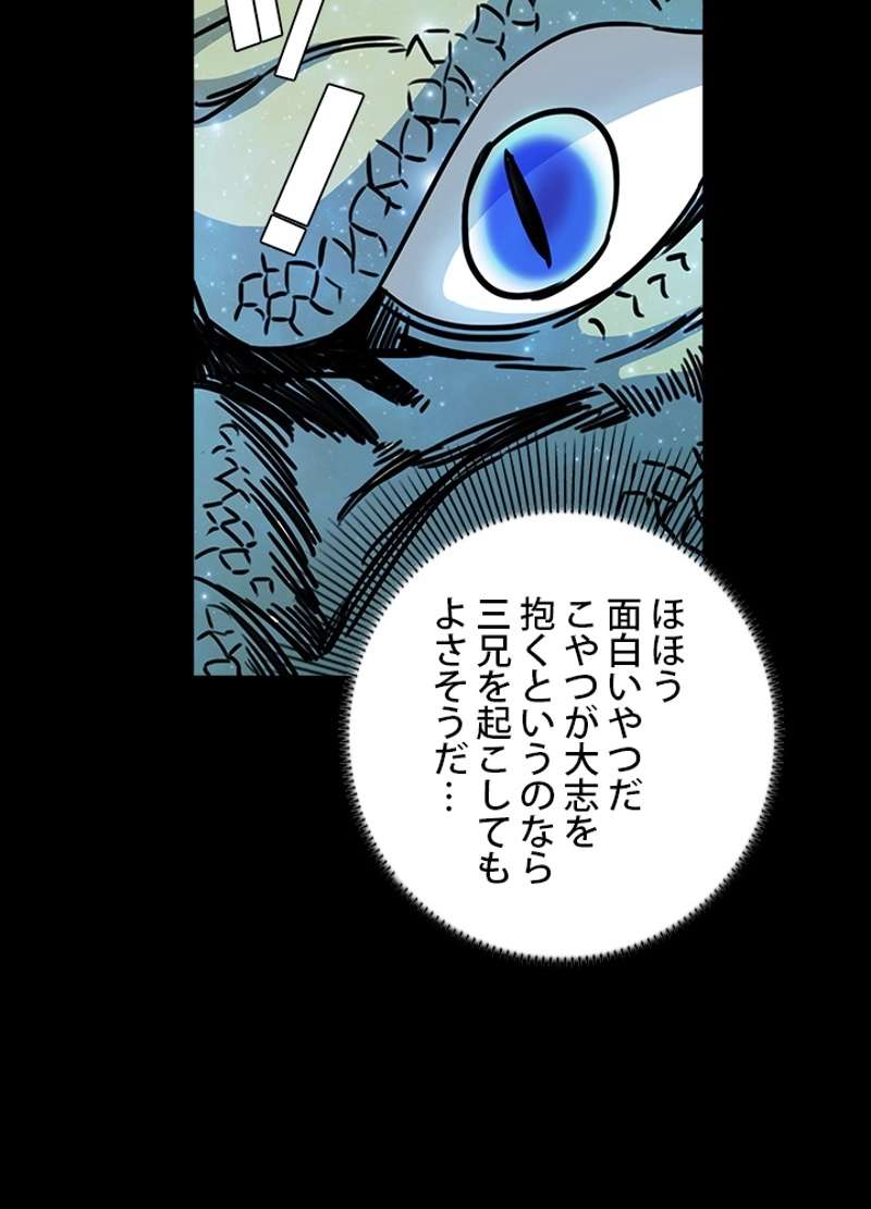 P61