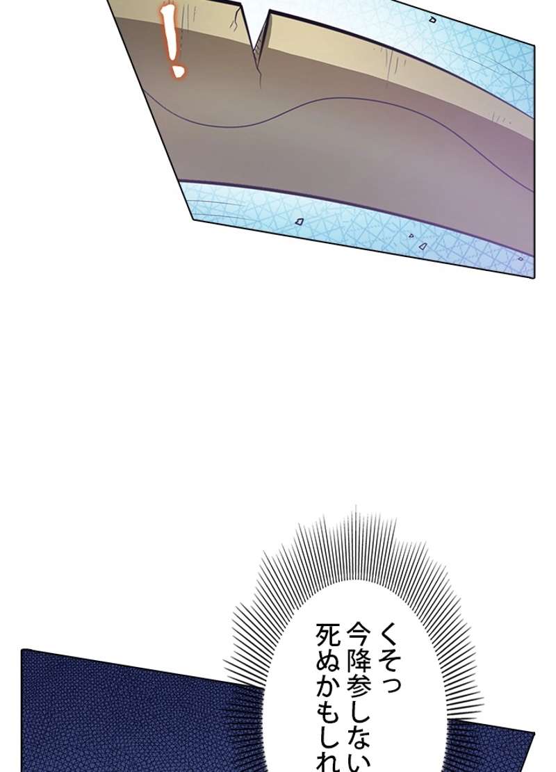 P24