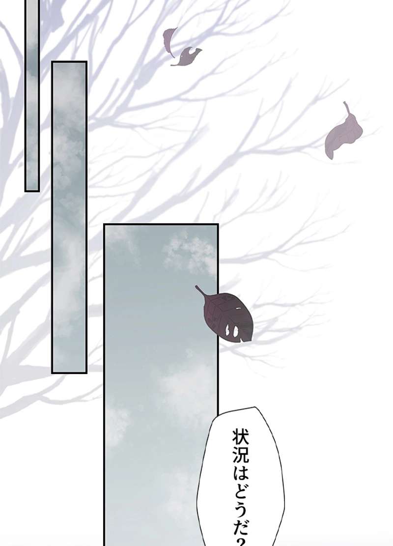 P44