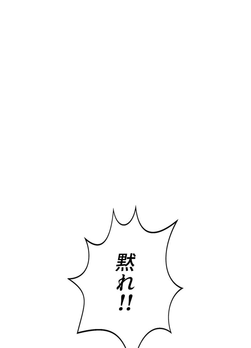 P66