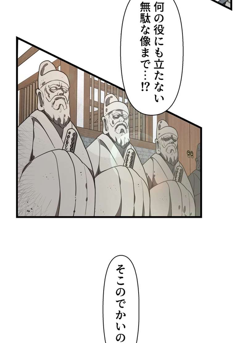P66