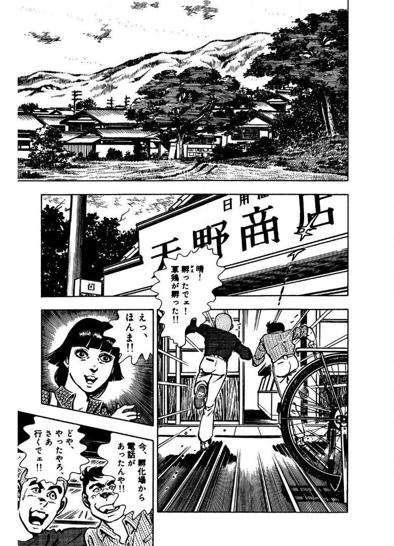 P29