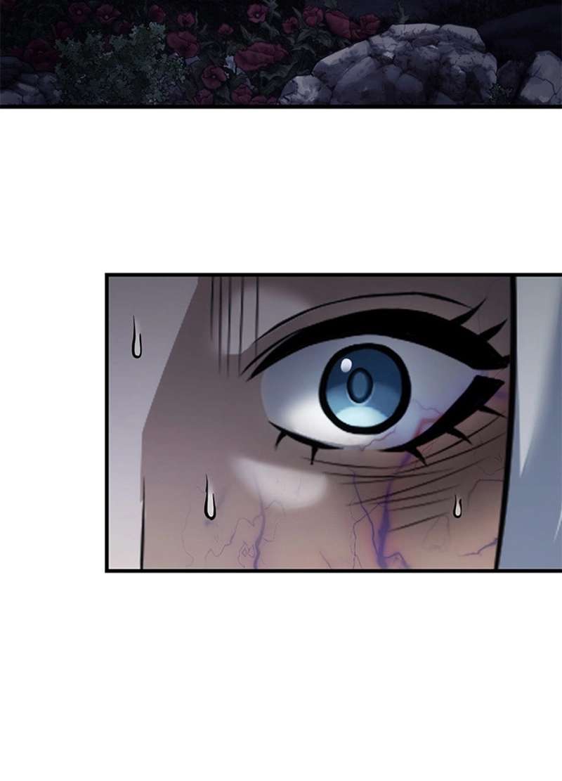 P113