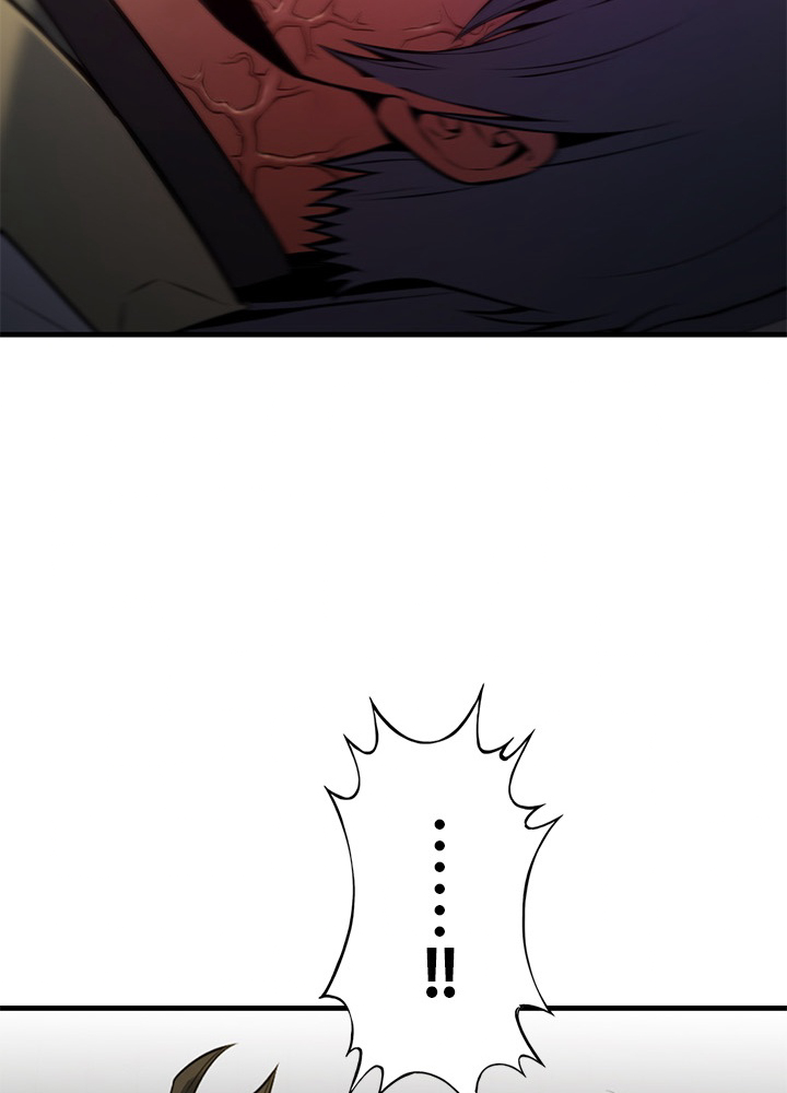 P113
