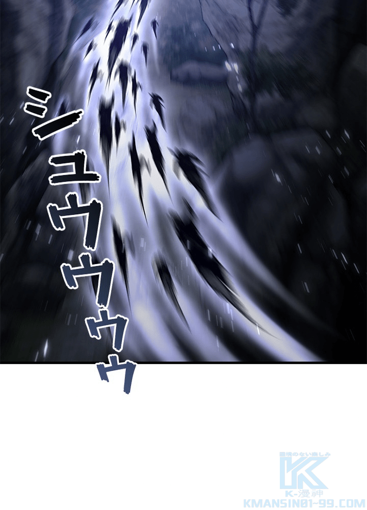 P58