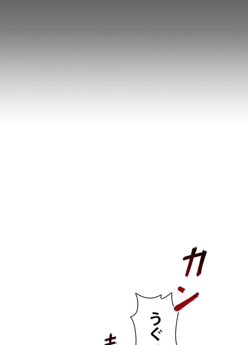 P81