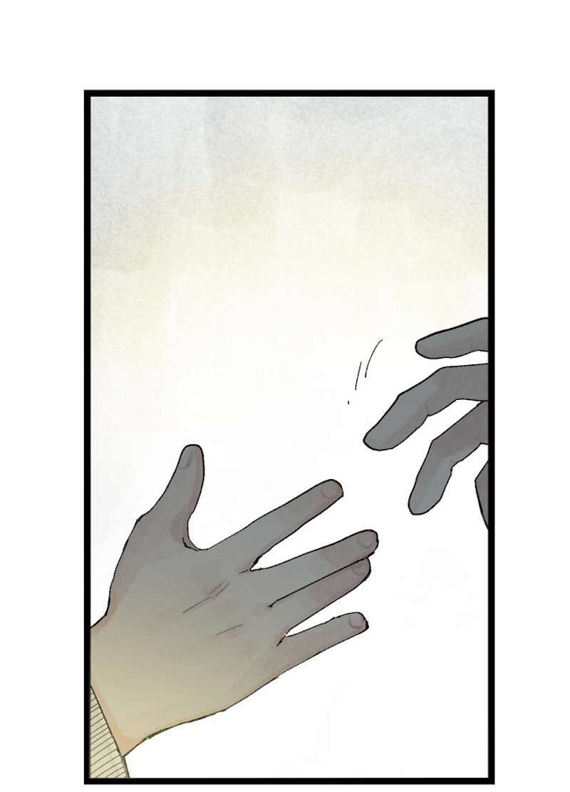 P155