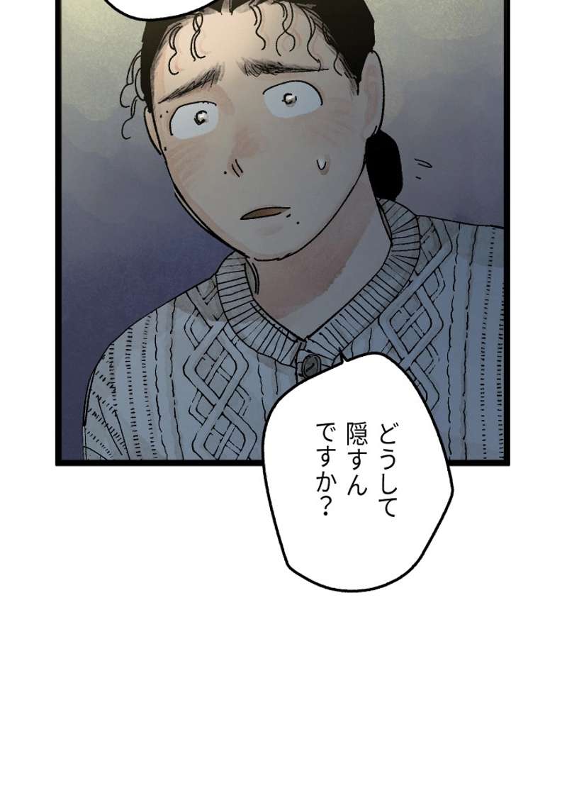 P53