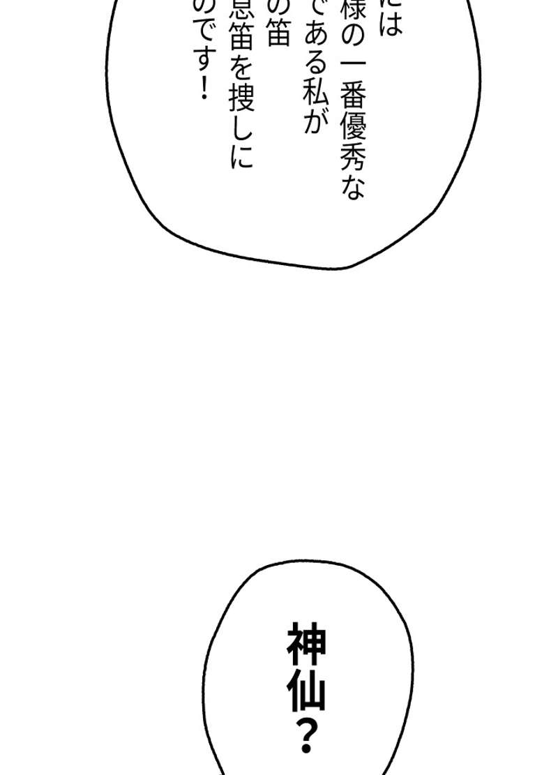 P61
