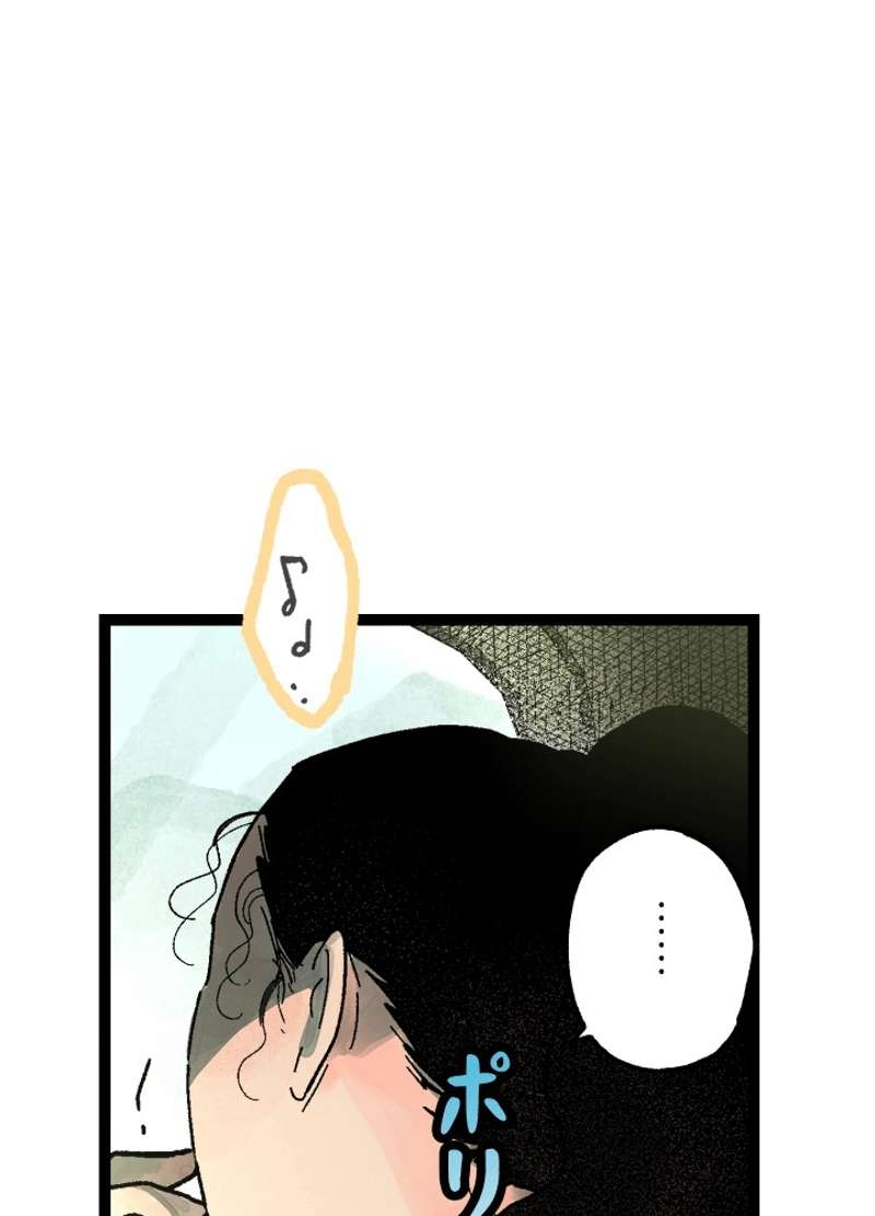 P113