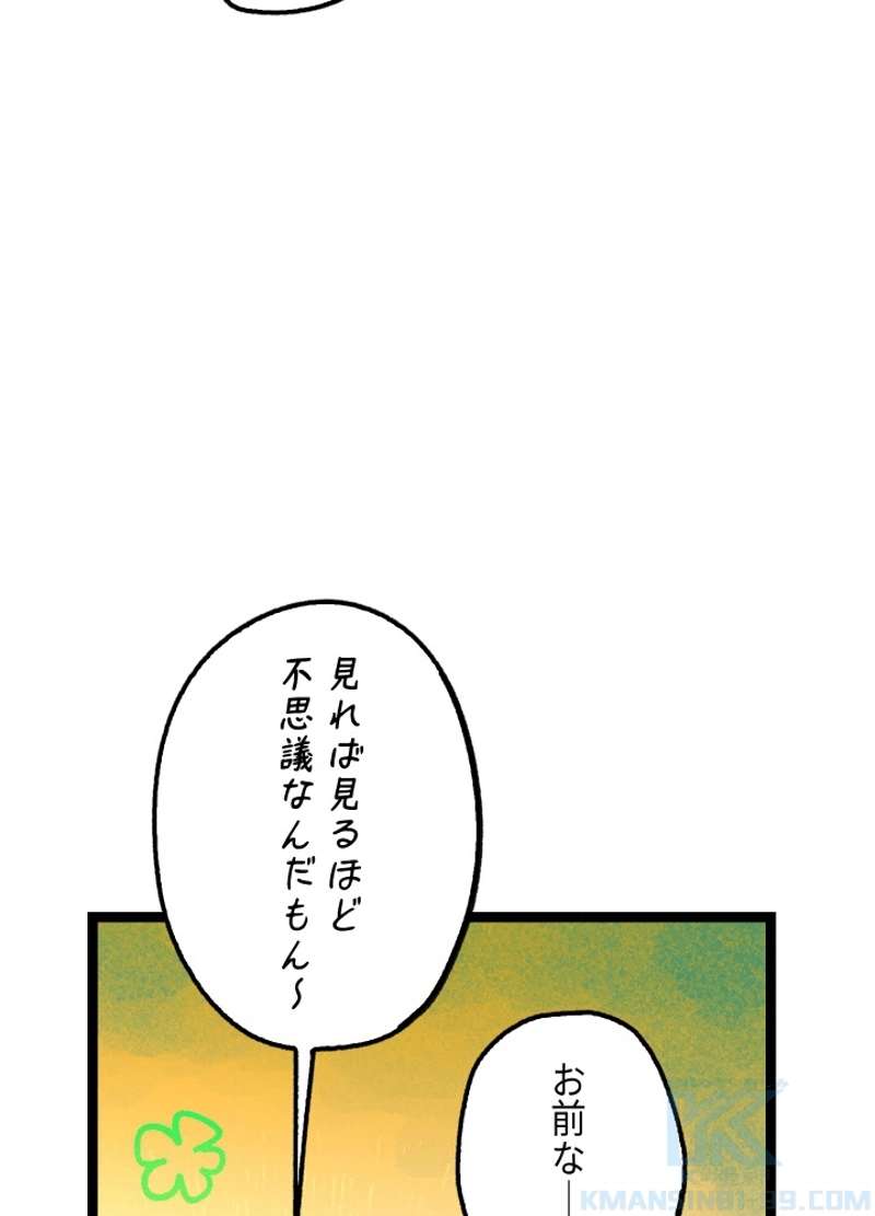 P43
