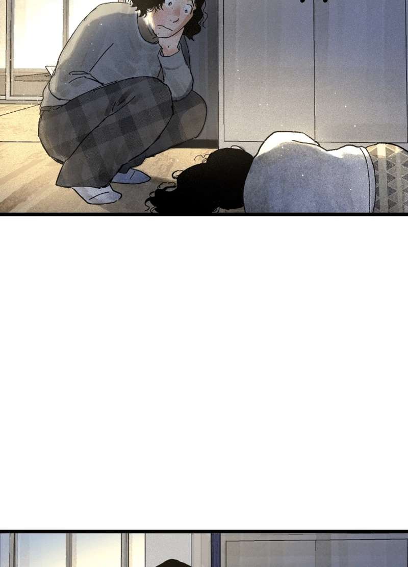 P206