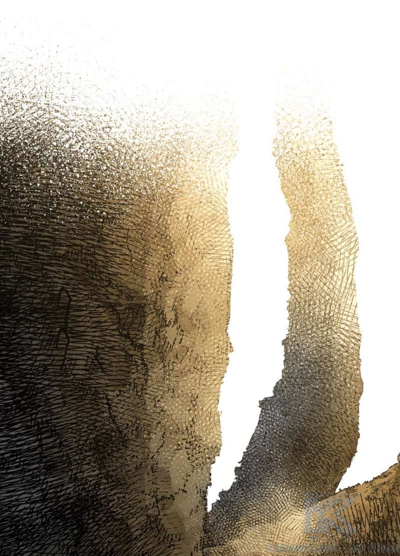 P61