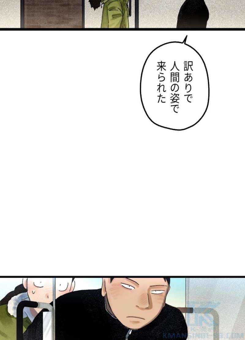 P73