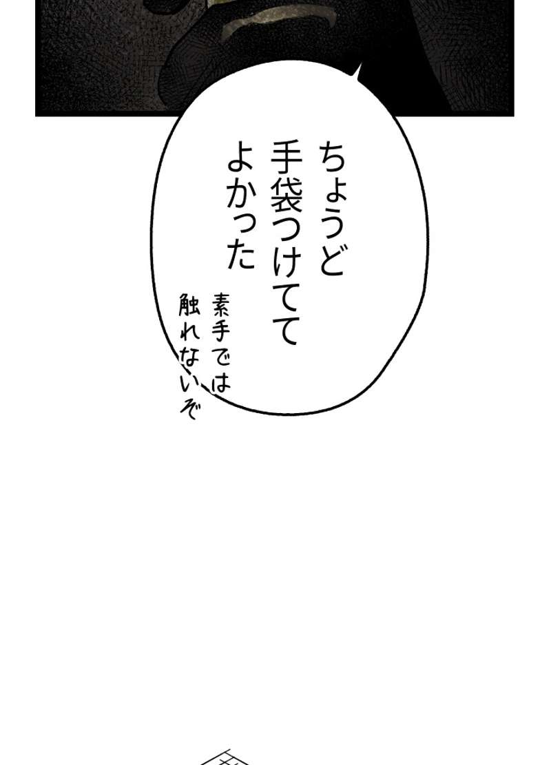 P56
