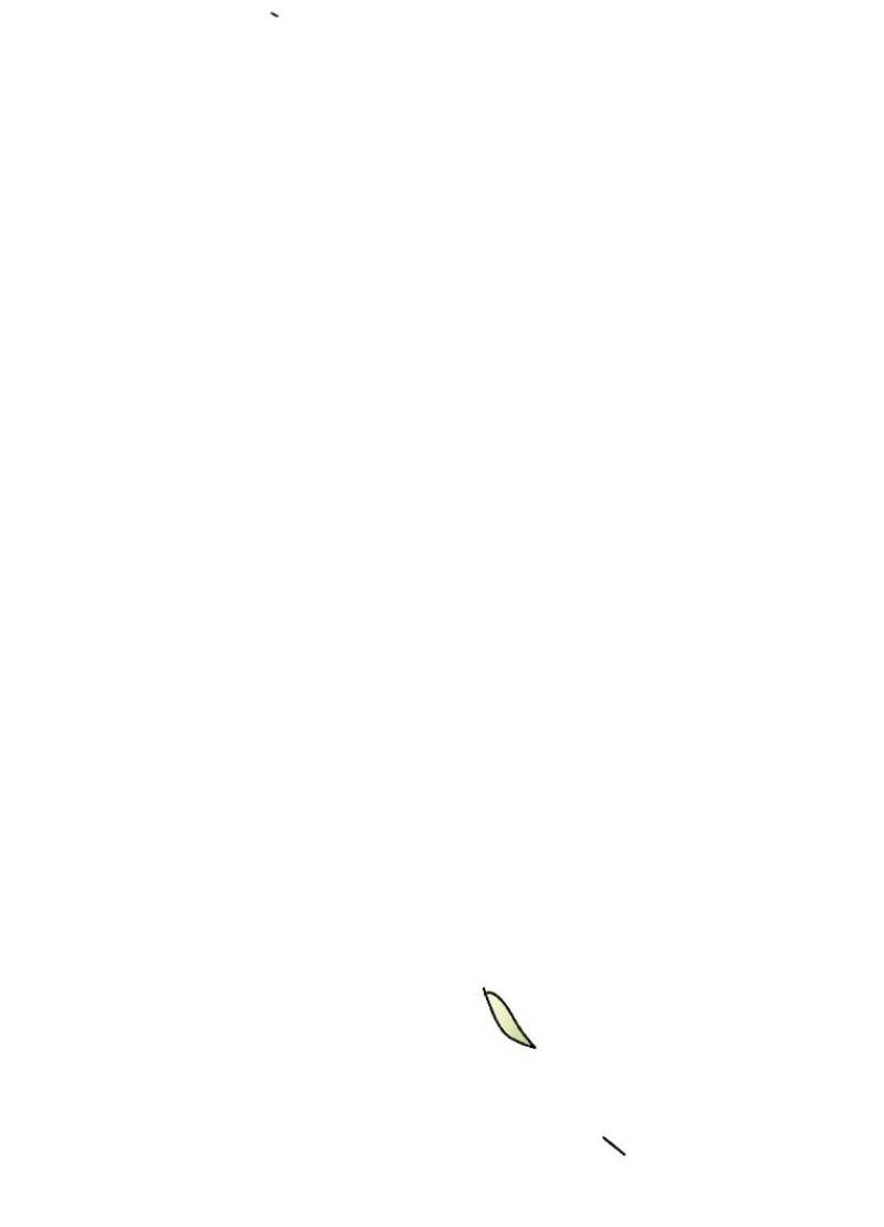 P51