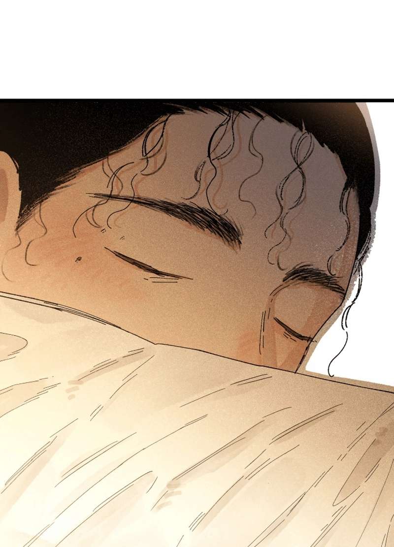 P62