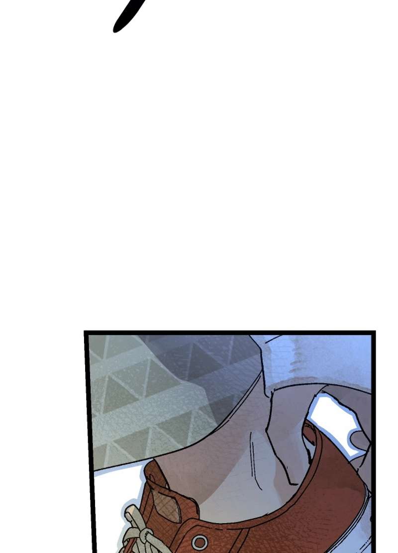 P233