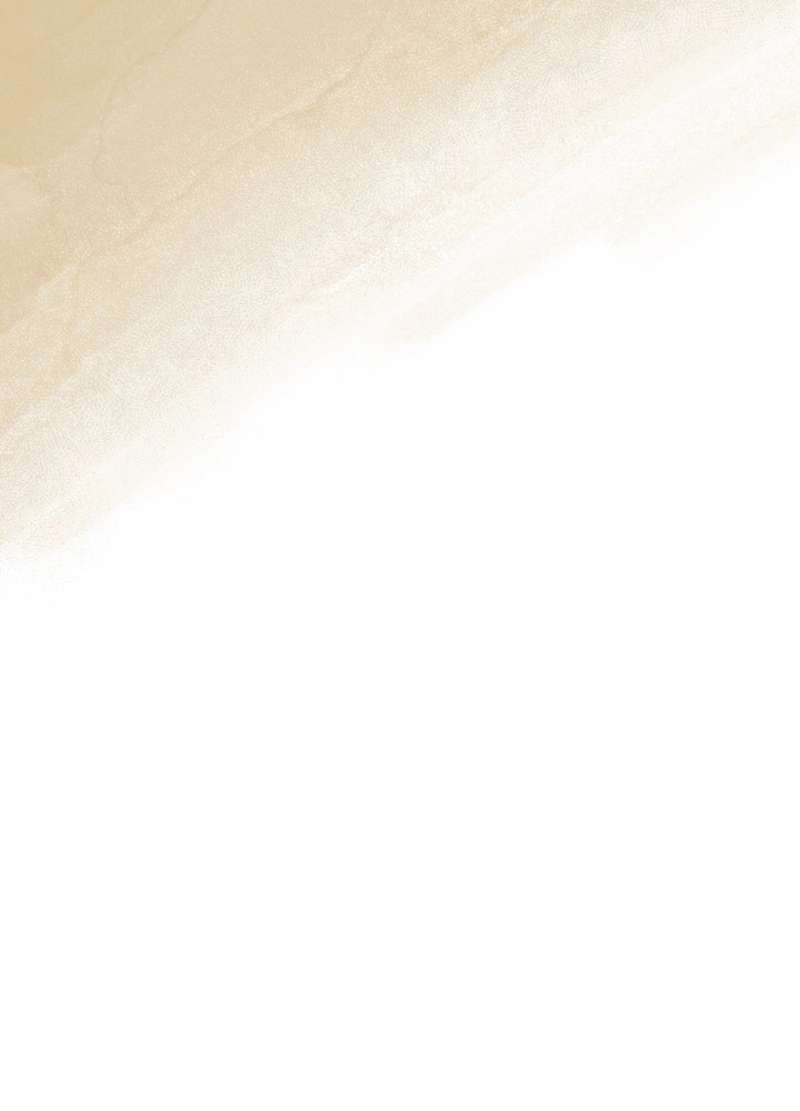 P81