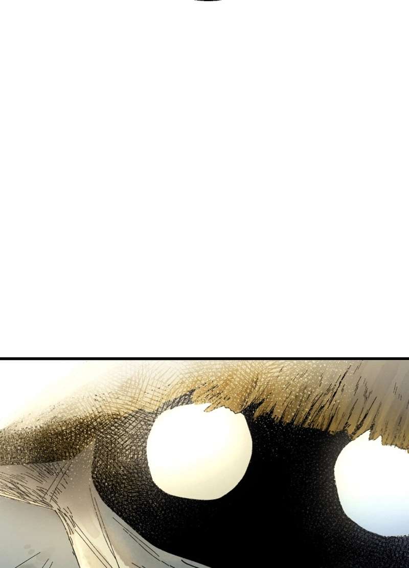 P44