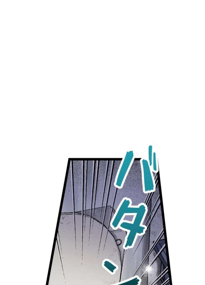 P44