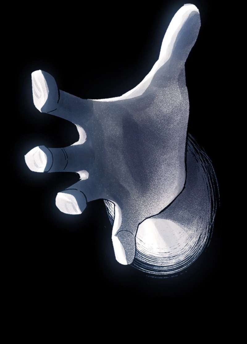 P24