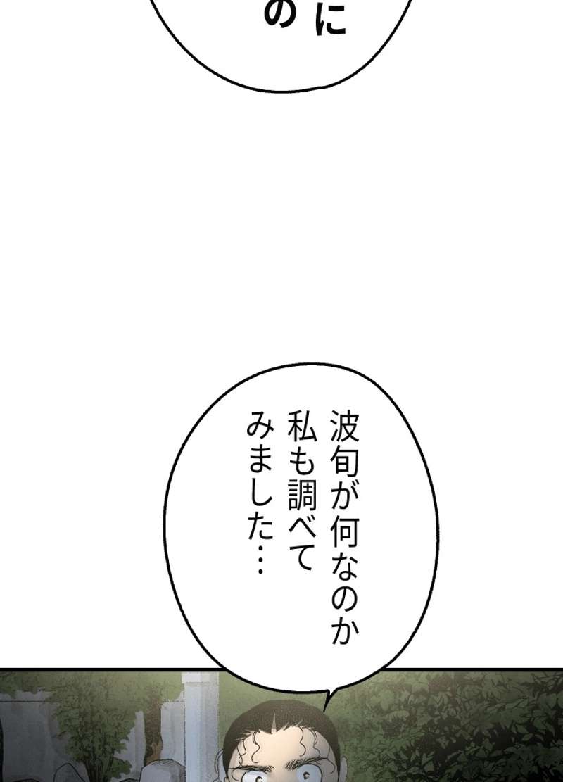 P61