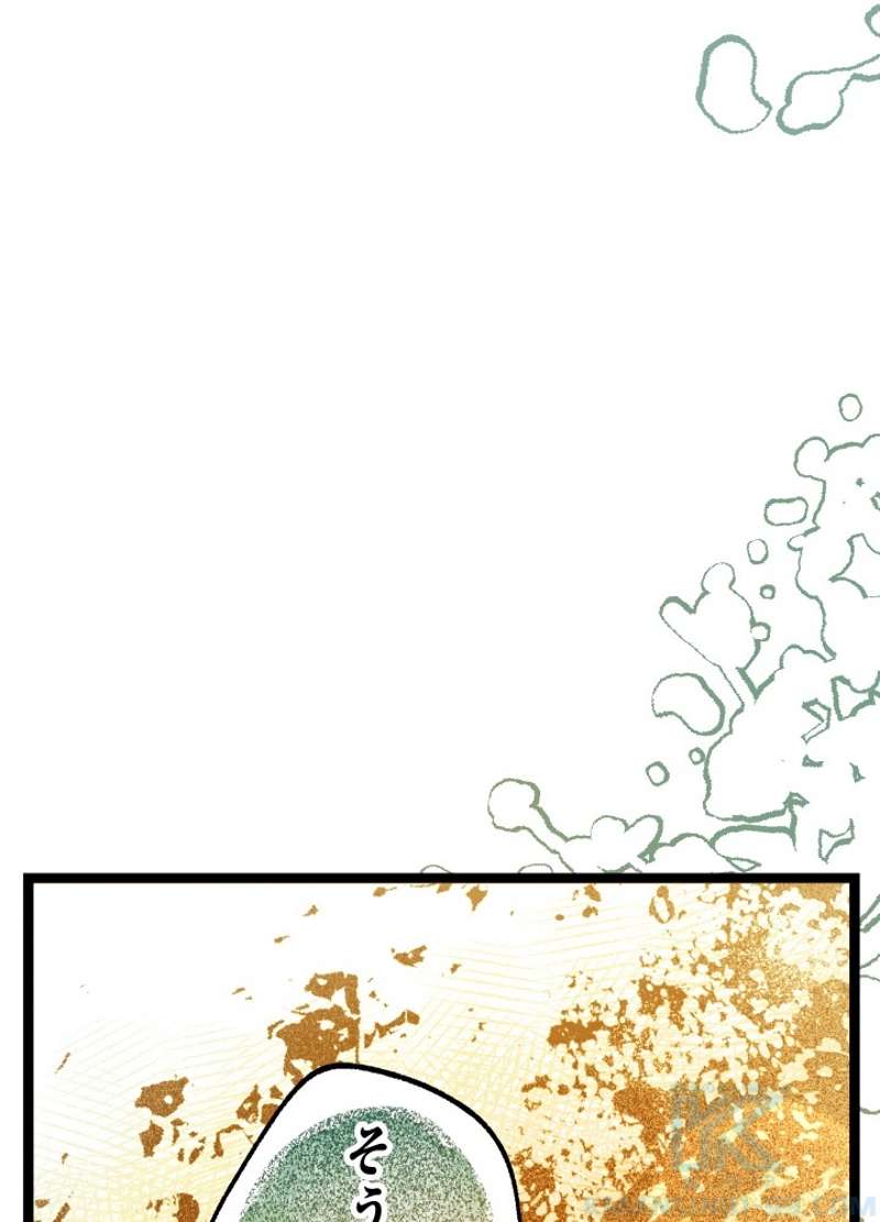 P64