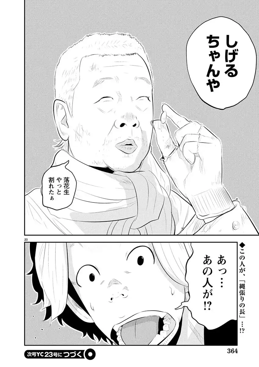 P20