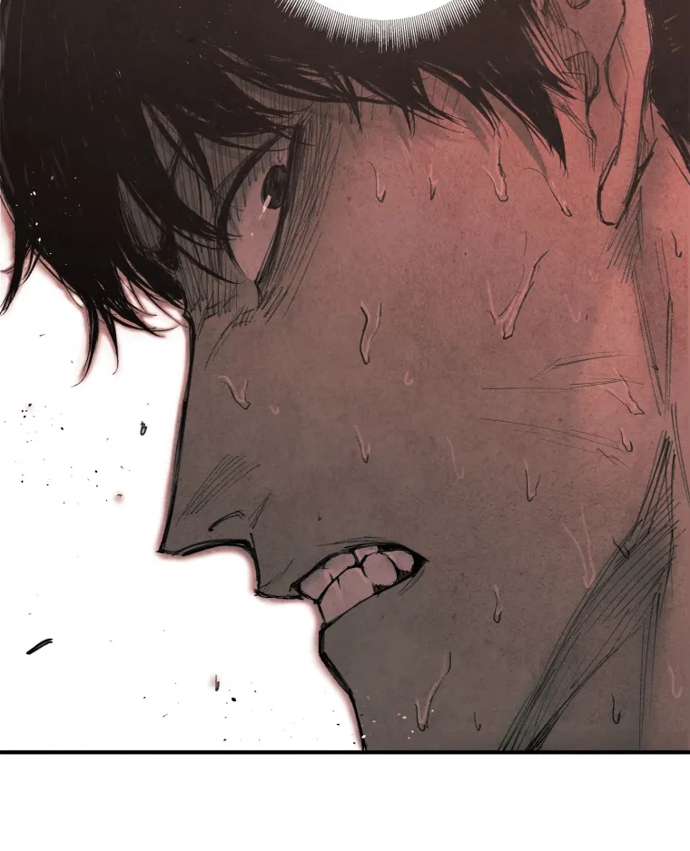 P48