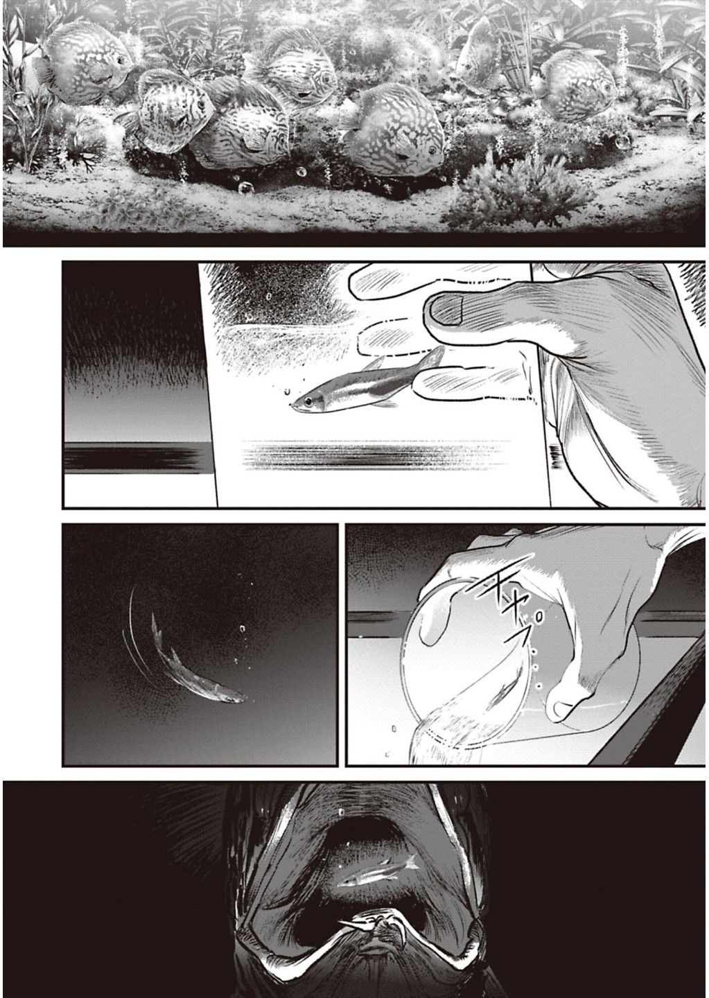 P61