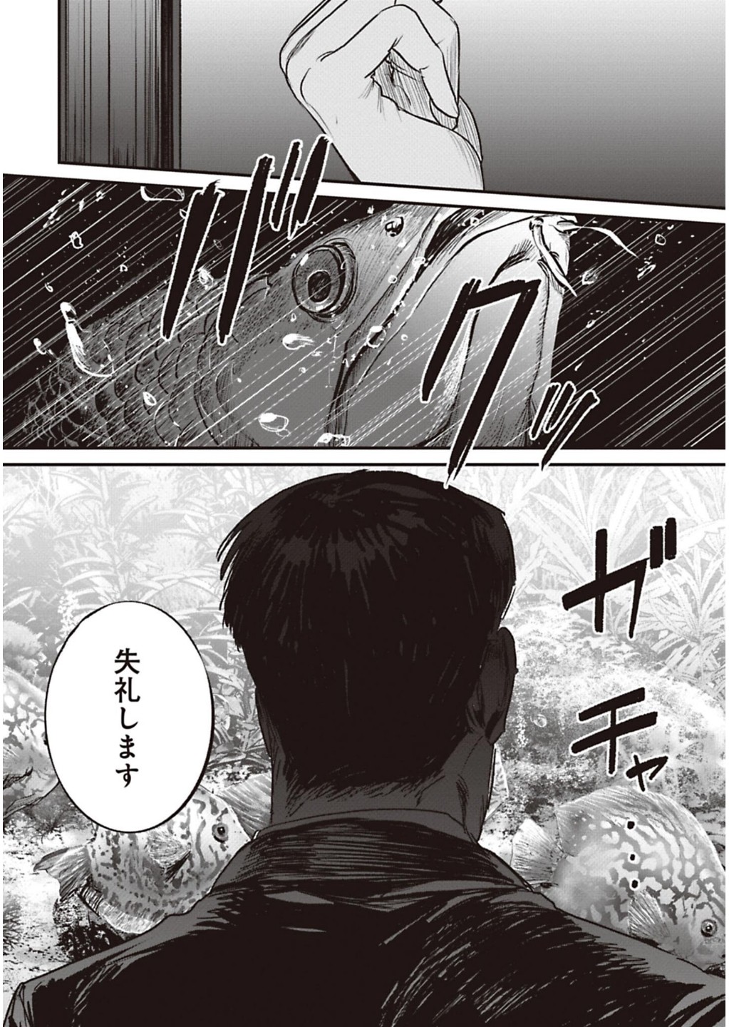P62