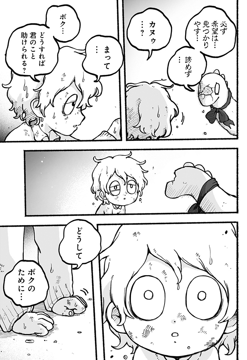 P29