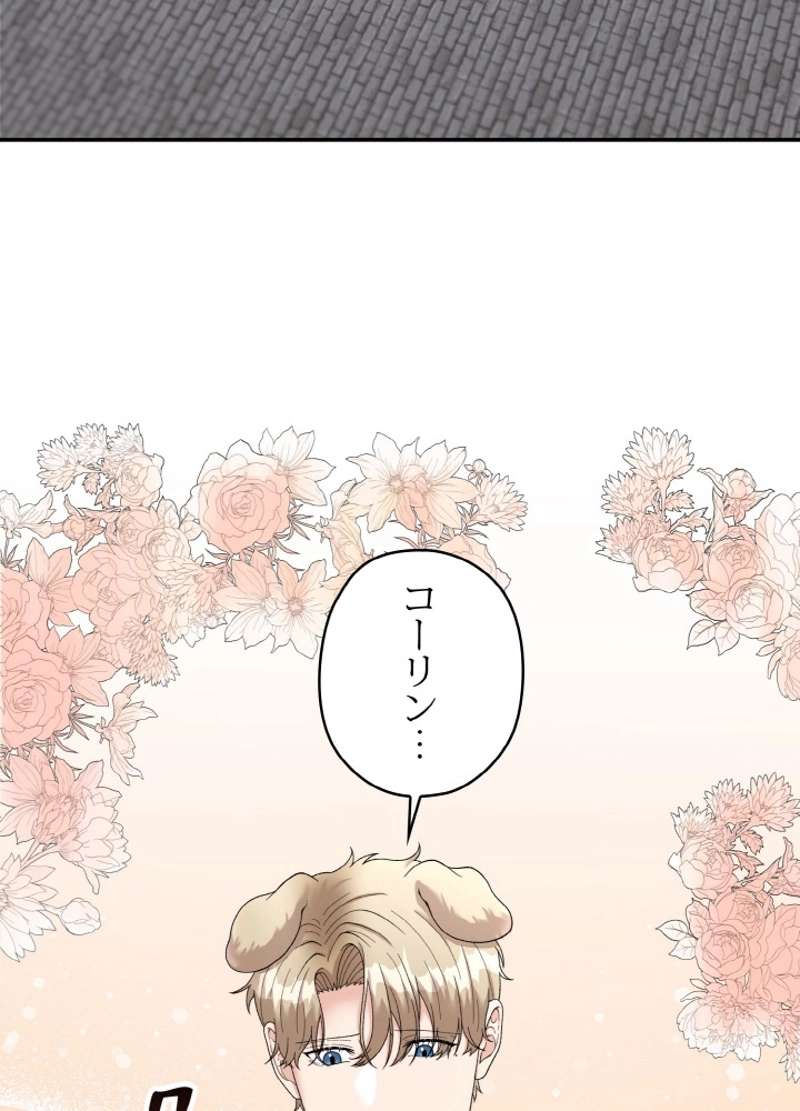 P66