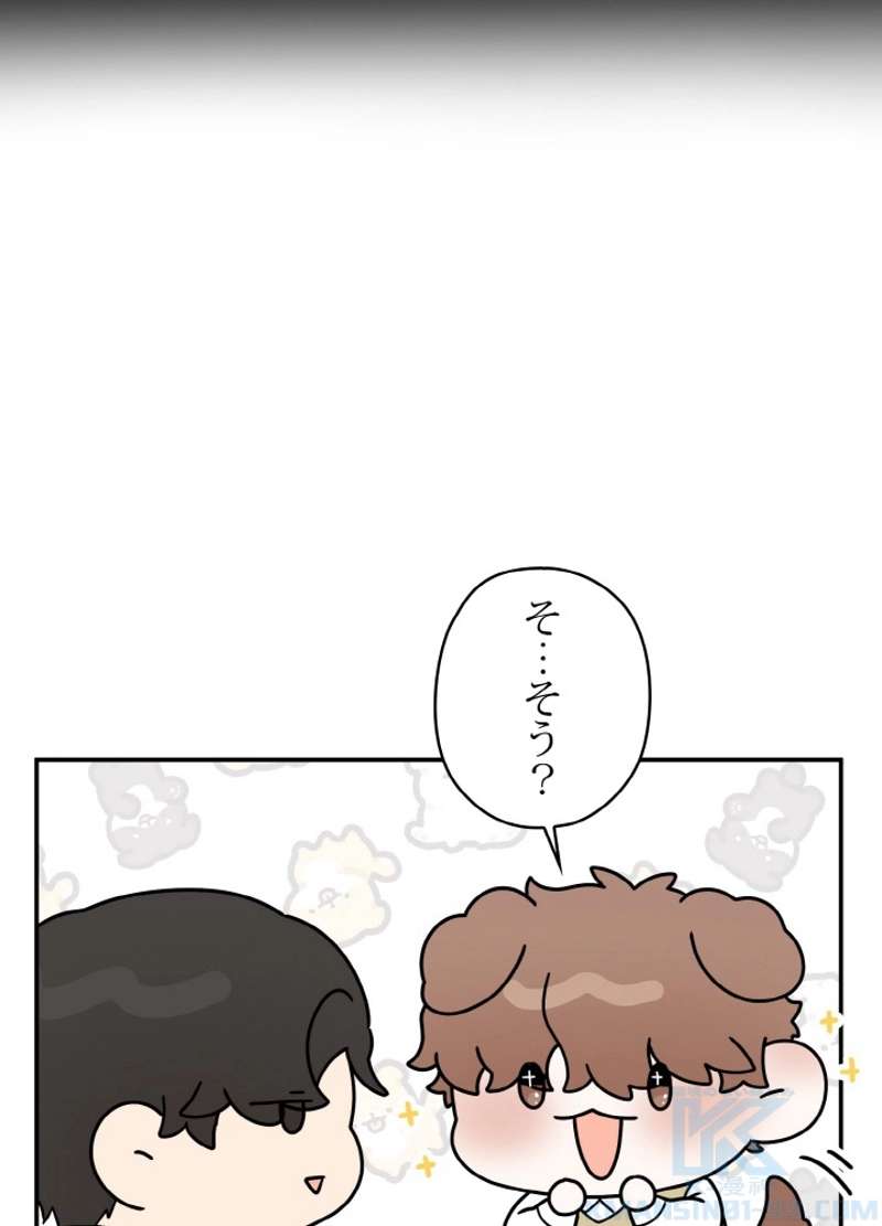 P61