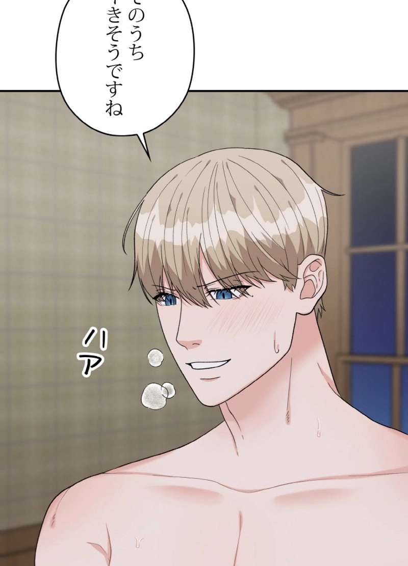 P66